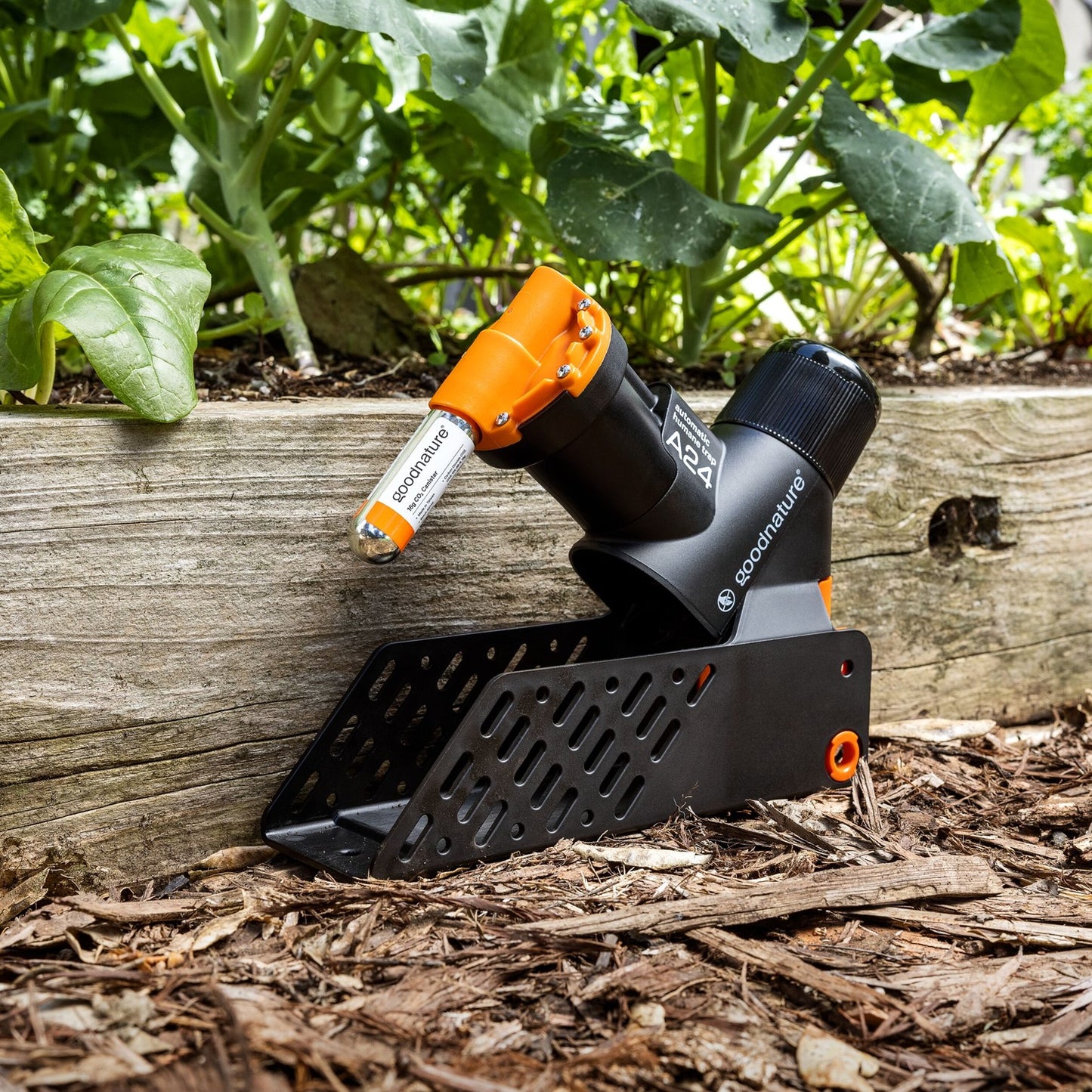 Goodnature Smart-Falle mit Zubehör