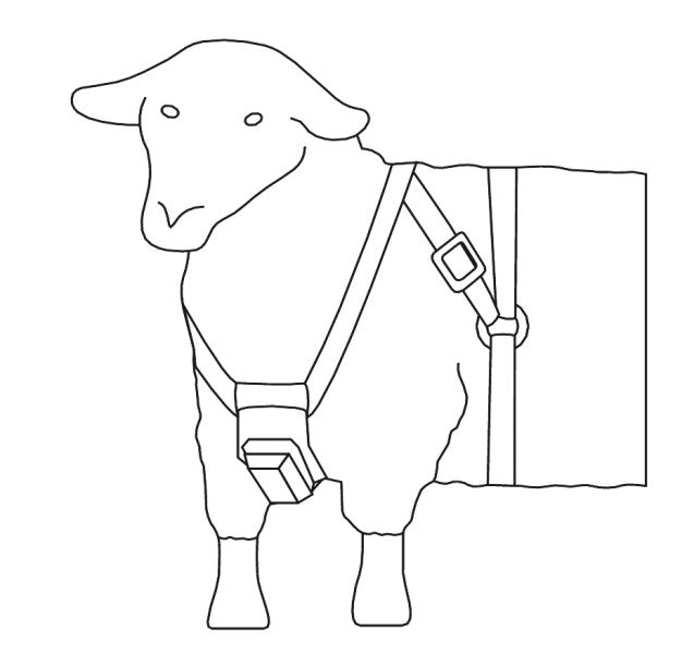 Bocksprunggeschirr, Leder