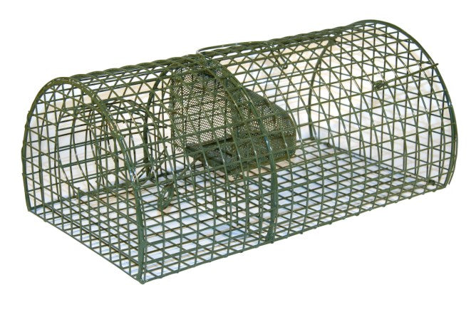 Ratten-Massenfänger