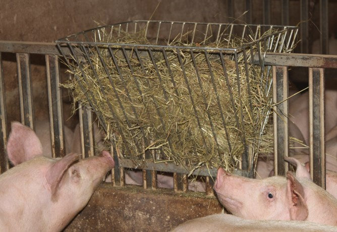 Doppelraufe 40mm, verzinkt ❗ nur Abholung ❗ telefonische Bestellung!!!