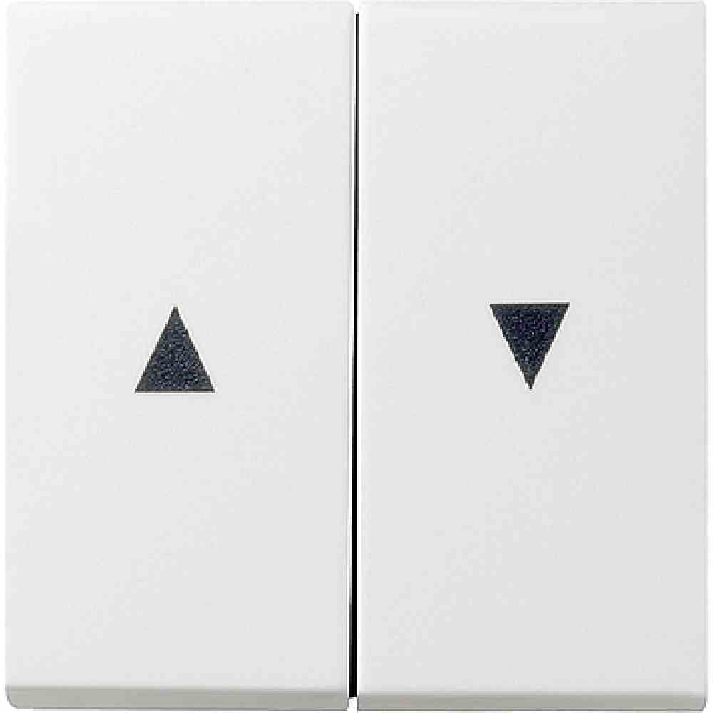 GIRA Wippen + Pfeilsymbol, 2-fach