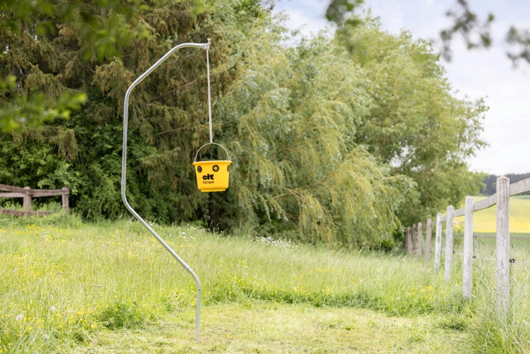 CIT Fliegenfalle FlyCage6